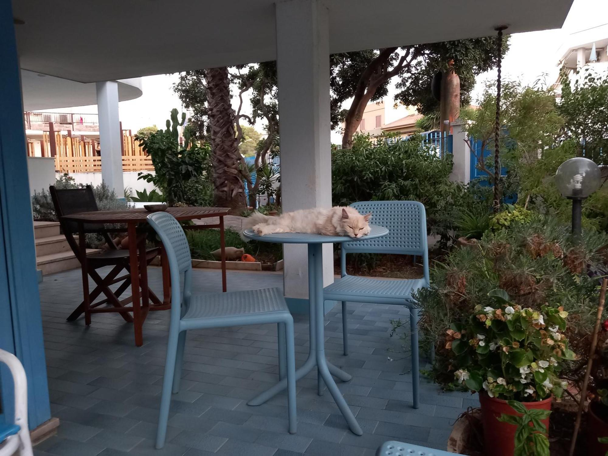 Villa Teodora อาลเกโร ภายนอก รูปภาพ